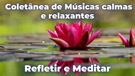 Refletir E Meditar Colet Nea De M Sicas Calmas E Relaxantes Youtube