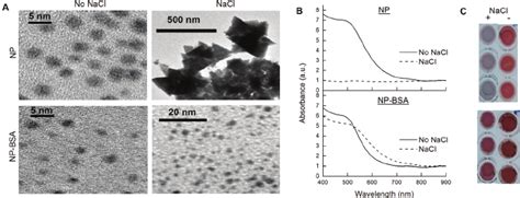 Colloidal Stability Of Naked NPs And NPs With A BSA Protein Corona