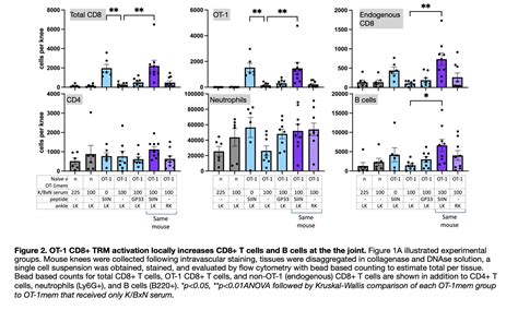 Activation Of Joint CD8 TRM Localize Autoantibody Mediated Arthritis