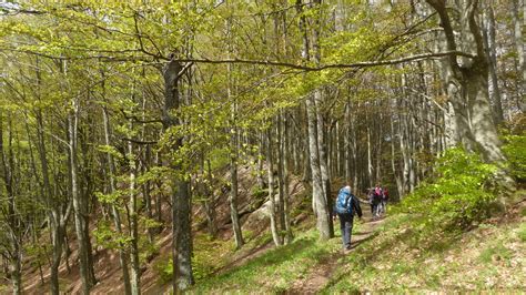 Balze Di Verghereto La Verna Tappa 5 Il Cammino Di San Francesco