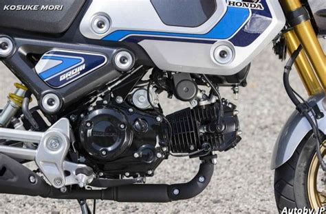 Honda Grom Big Bore Kit