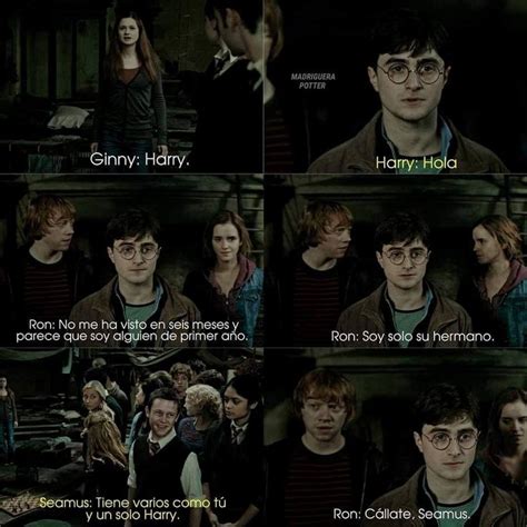 Harry Potter And His Friends In The Movies