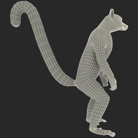 Ring Tailed Lemur 3d Model 99 3ds Max Ma Obj Lwo C4d Free3d