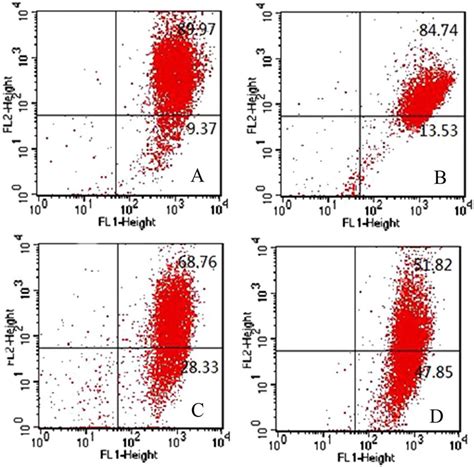 The Plot Of Jc 1 Red Verse Green Emission From Flow Cytometry On