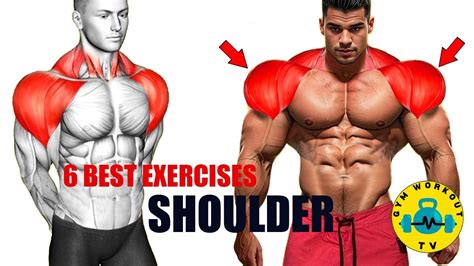 Best Exercises For Thicker D Shoulder Best Shoulder Exercises