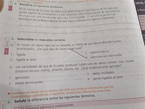 Ayuda C Selecciona La Respuesta Correcta Brainly Lat