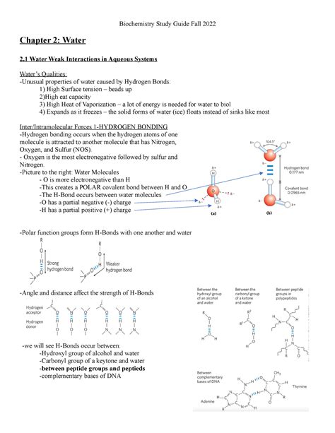 2 Bio Chem Study Guide Chapter 2 Water 2 Water Weak Interactions In