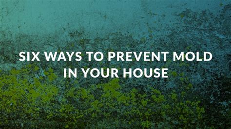 How To Prevent Mold In Your House Six Tips You Should Follow