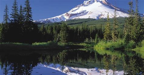 From Portland Columbia Gorge Waterfalls And Mt Hood Tour Getyourguide