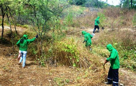 Fomentan oportunidades de restauración de paisajes forestales