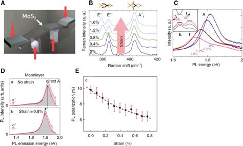 Excitons In Atomically Thin 2d Semiconductors And Their Applications