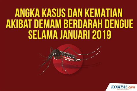 Infografik Angka Kasus Dan Kematian Akibat Dbd Pada Januari