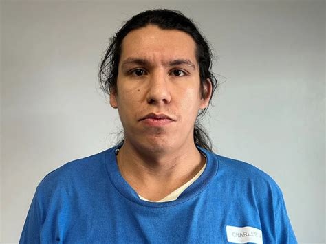 High Risk Sex Offender Moves From Regina S Heritage Area To Downtown