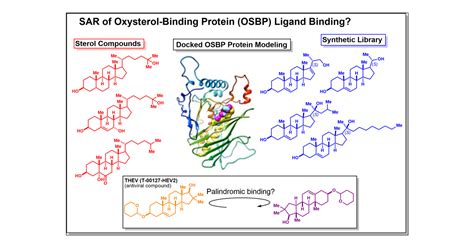 StructureActivity Relationships Of Ligand Binding To Oxysterol Binding