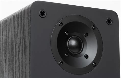 Обзор активной акустической системы Radiotehnika S-20NA