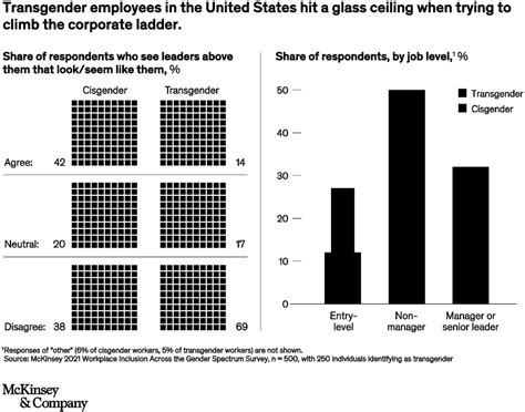 Being Transgender At Work Mckinsey