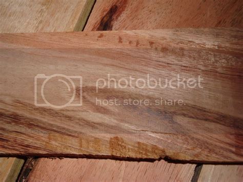 wood identification | Woodworking Talk