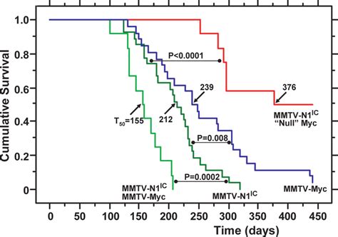 Kaplan Meier Tumor Free Mouse Survival Curves The Survival Of Mice