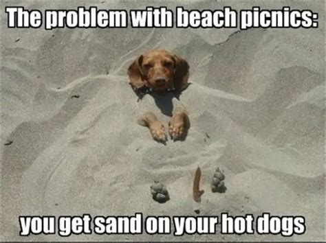 20 Best Of Funny Beach Memes Sheideas