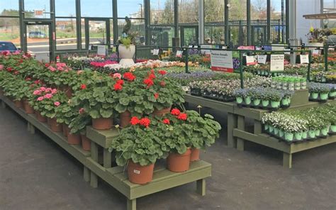 Pike Nurseries Highland Creek Opening Spring 2020 Pike Nurseries