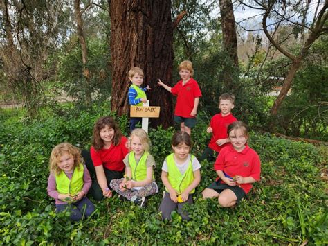 New Kindergarten Project At Whitfield District Primary School