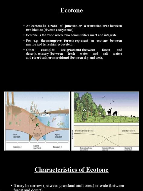 Ecotone | PDF | Ecological Niche | Habitat