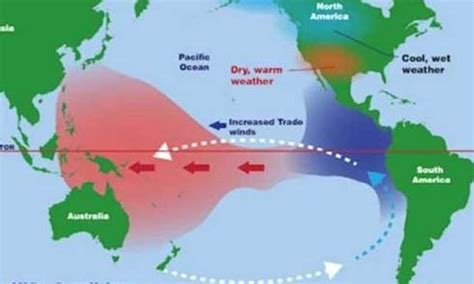 Bersiap Hadapi El Nino Cek Dampaknya Bagi Indonesia Warta Pendidikan