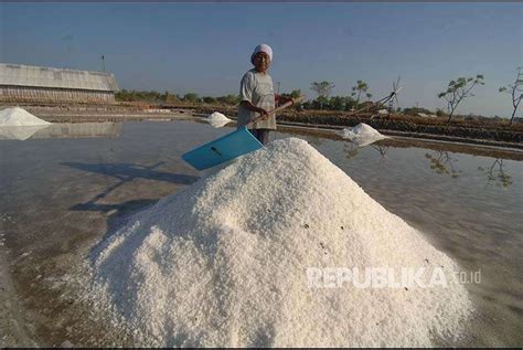 Garam Di Madura Melimpah 160 Ribu Ton Tak Tertampung Gudang