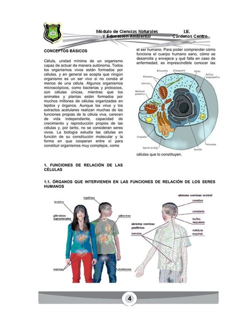 Modulo Ciencias Naturales Ciclo Iv Grado Octavo PDF