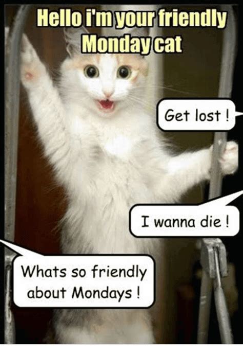 Monday Cat Meme Funny Image Photo Joke 02 | QuotesBae