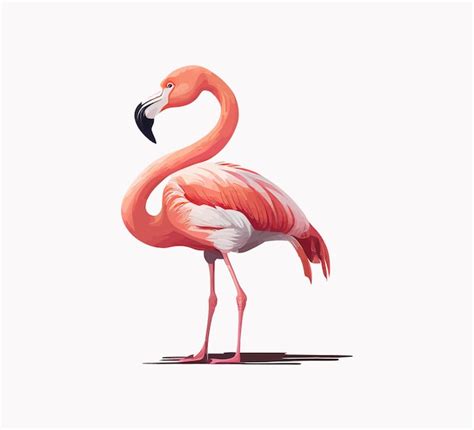 Desenho De Ilustra O Vetorial De Flamingos Vetor Premium