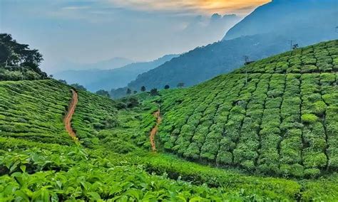 Book 4 Days Ooty Coonoor Tour Package From Bangalore