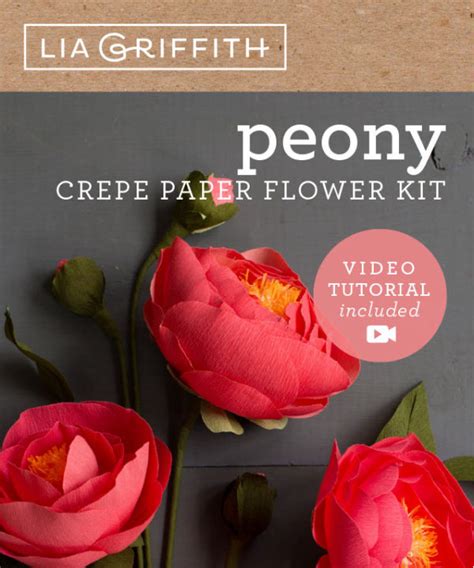 Crepe Paper Flower Kits Lia Griffith