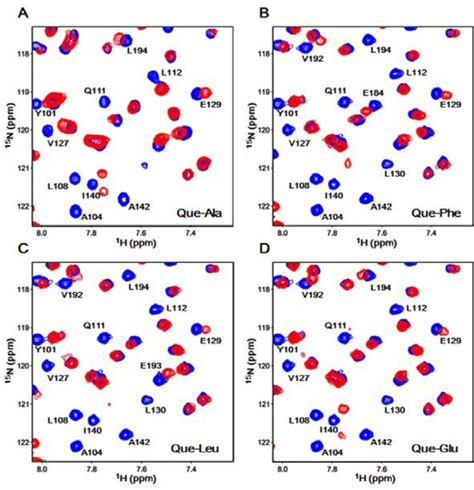 Mapping The Bcl Xl Quercetin Binding Interface By Nmr Selective Region