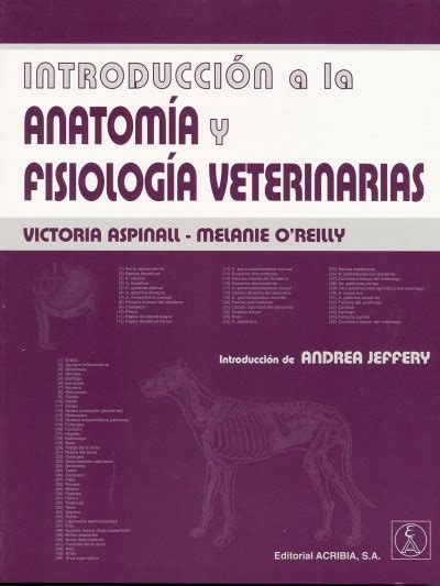 Introducción Anatomía Y Fisiología Veterinaria