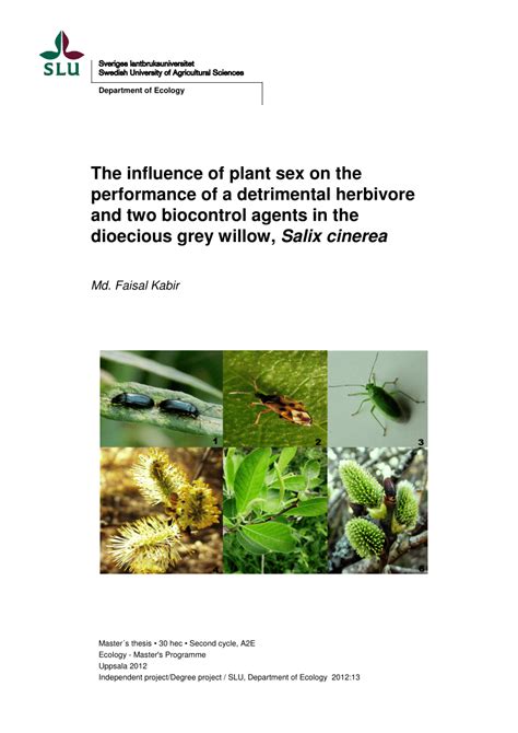 Pdf The Influence Of Plant Sex On The Performance Of A Detrimental