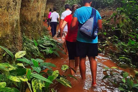 Ab Manaus Ganzt Gige Tour Amazonas Wasserf Lle Und H Hlen Getyourguide