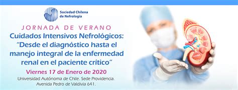 Cuidados Intensivos Nefrol Gicos Desde El Diagn Stico Hasta El Manejo