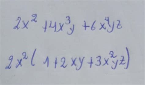 Ayudeme Este Ejercicio 2x2 4x3y 6x4yz Brainly Lat