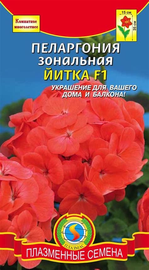 Пеларгония зональная ЙИТКА F1 - Плазменные семена