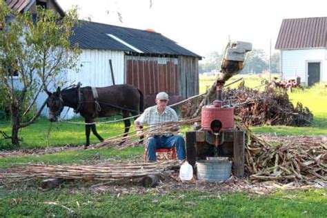 North Carolina B&B owner shows lost art of making molasses