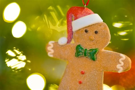 Gingerbread Man Free Stock Photo Public Domain Pictures