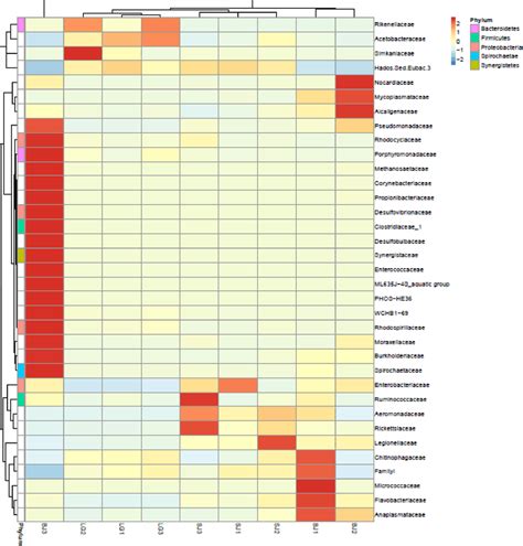 Heat Map Showing The Clustering Of Relative Abundances Of The Gut