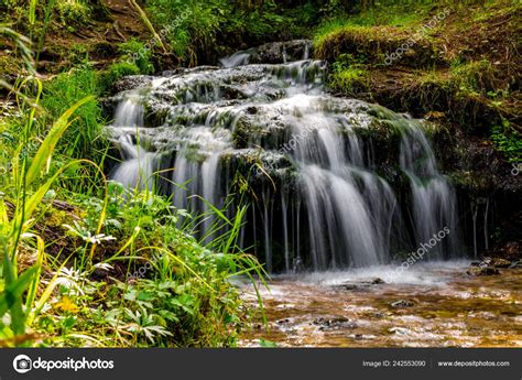 Pictures: forest streams | Beautiful Forest Stream Small Waterfall ...