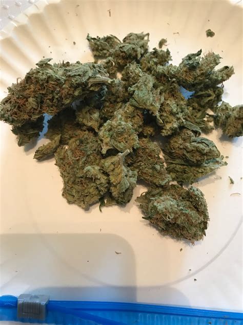 Sour OG | Hybrid | A Tranquility Treat