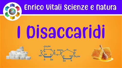 Disaccaridi E Oligosaccaridi Video In 4K YouTube