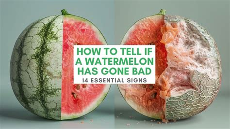 14 Essential Signs On How To Tell If Watermelon Has Gone Bad Hunters Roots