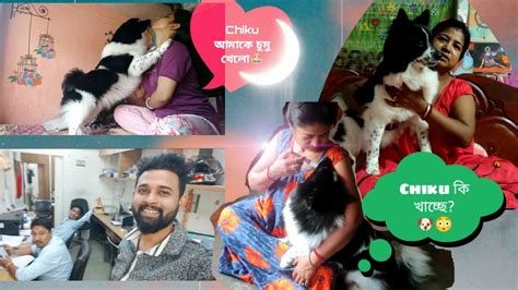 আজকে আমি কোথায় যাচ্ছি ☺chiku আমাকে চুমু খেলো😍🐕 Chiku ওটা কি খাচ্ছে