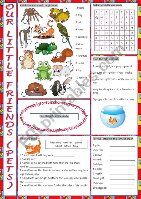 Pets Vocabulary Exercises Esl Worksheet By Kissnetothedit