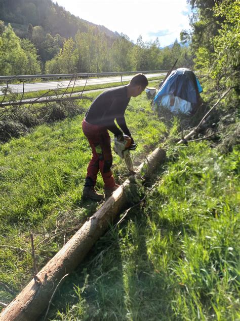 Maibaumaufstellen Fotos Freiwillige Feuerwehr M Nichwald